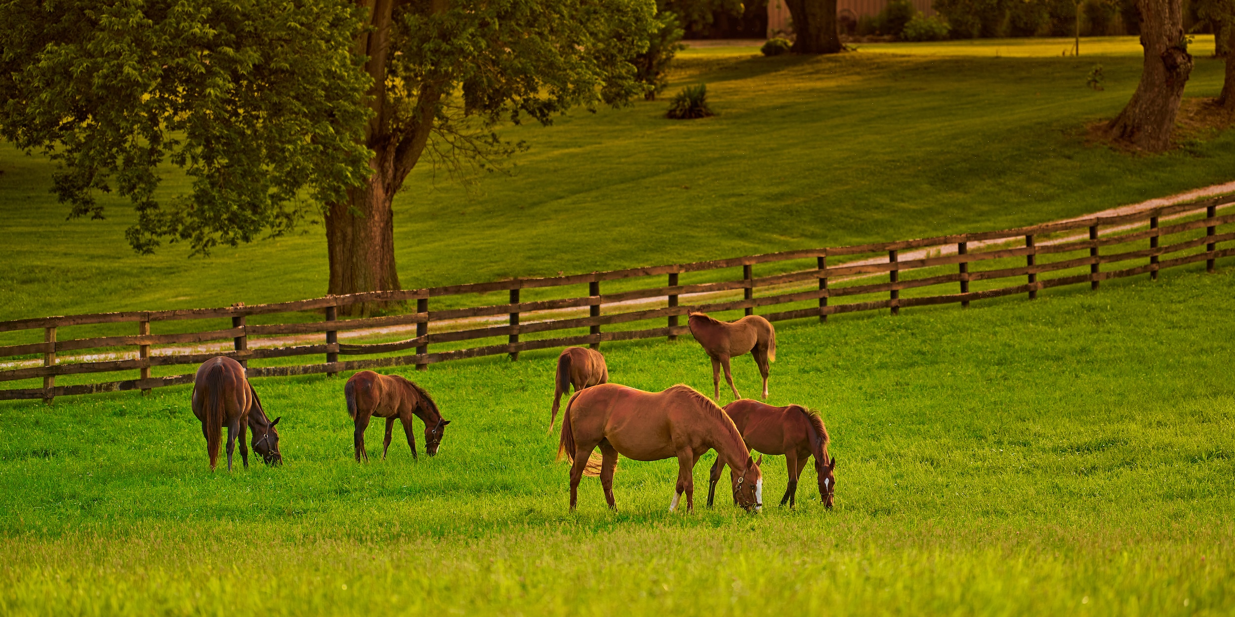 Agricultural Land Owners